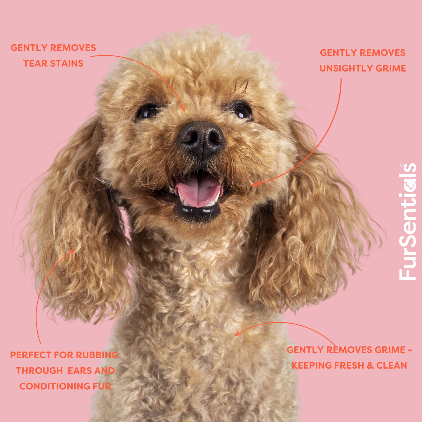 FurSentials Dog Coat Care Set