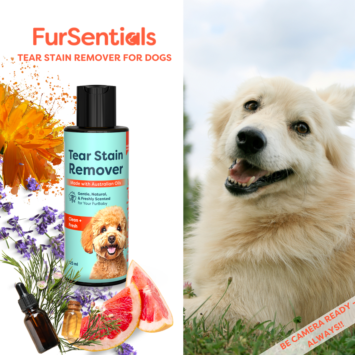 Tear Stain Remover