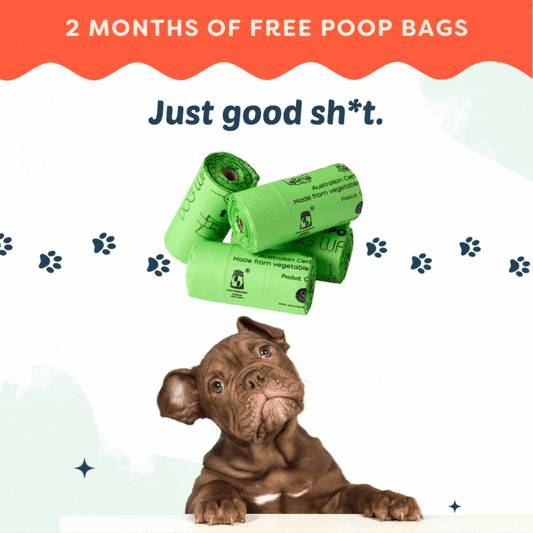 Compost-a-pak Dog Poop Bags - BUY 2 GET 2!