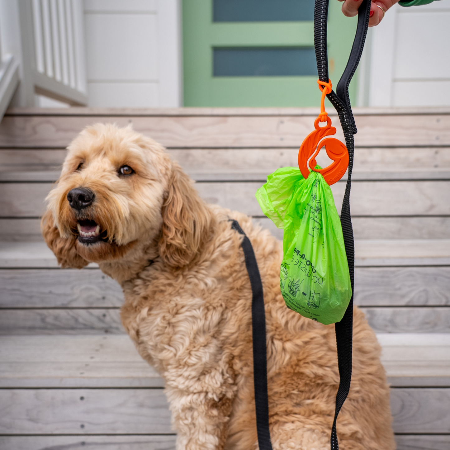 Dog Poop Pal, Waste Carrier for Leash, Single Unit