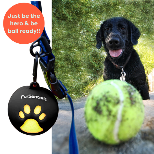 Ball Buddy Silicone Holder + 3 Squeaky Dog Balls