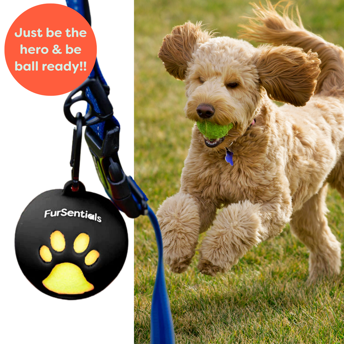 FurSentials Ball Buddy® Trio - Holder + 3 Squeaky Dog Balls