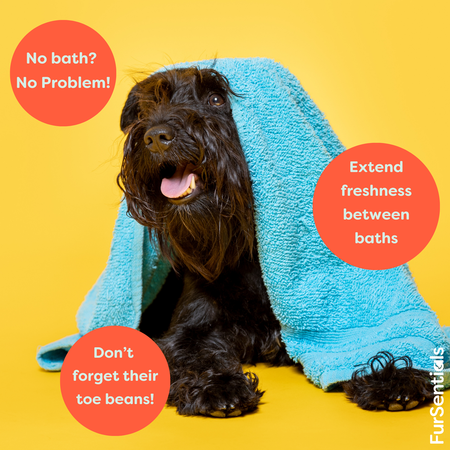 Waterless Shampoo Mousse