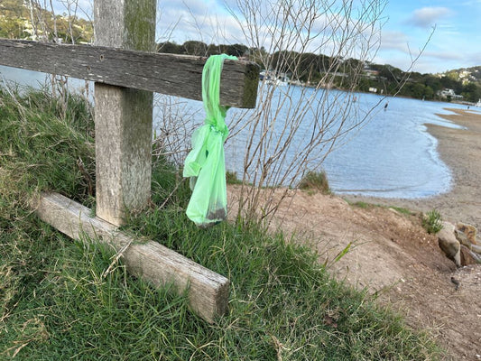 Pick Up Your Dog's Poop - the Why and How to Carry It!