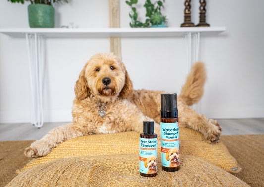 Dog Waterless Shampoo Mousse