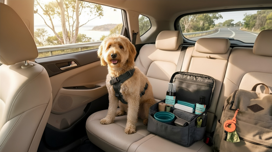 Dog Road Trip Tips for Mess-Free Travel