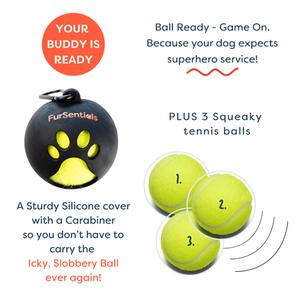 Ball Buddy Silicone Holder + 3 Squeaky Dog Balls