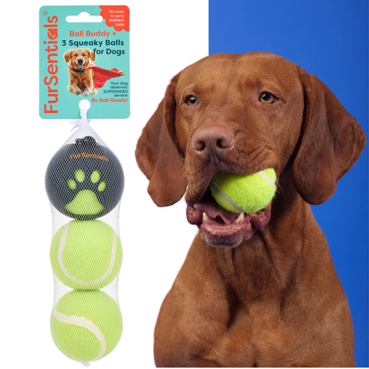 Ball Buddy Silicone Holder + 3 Squeaky Dog Balls