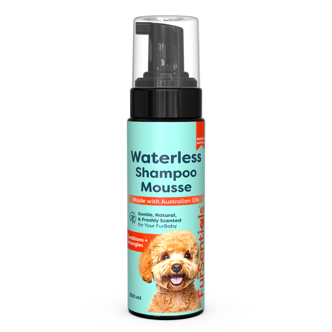 Waterless Shampoo Mousse