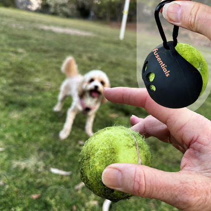 FurSentials Ball Buddy® Trio -  Holder + 3 Squeaky Dog Balls