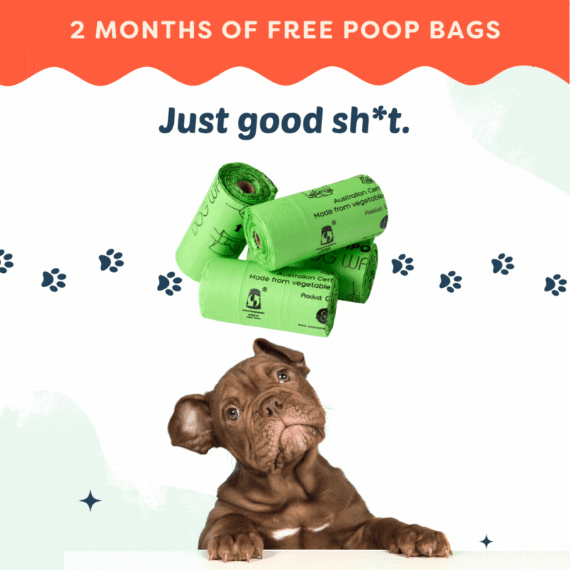 Compost-a-pak Dog Poop Bags - BUY 2 GET 2!