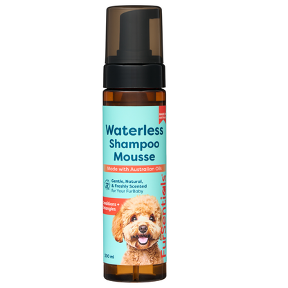 Waterless Shampoo Mousse