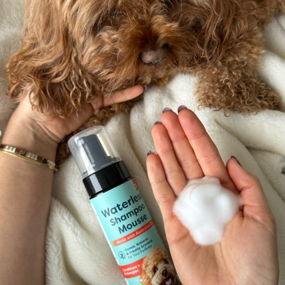 FurSentials Dog Coat Care Set Bundle