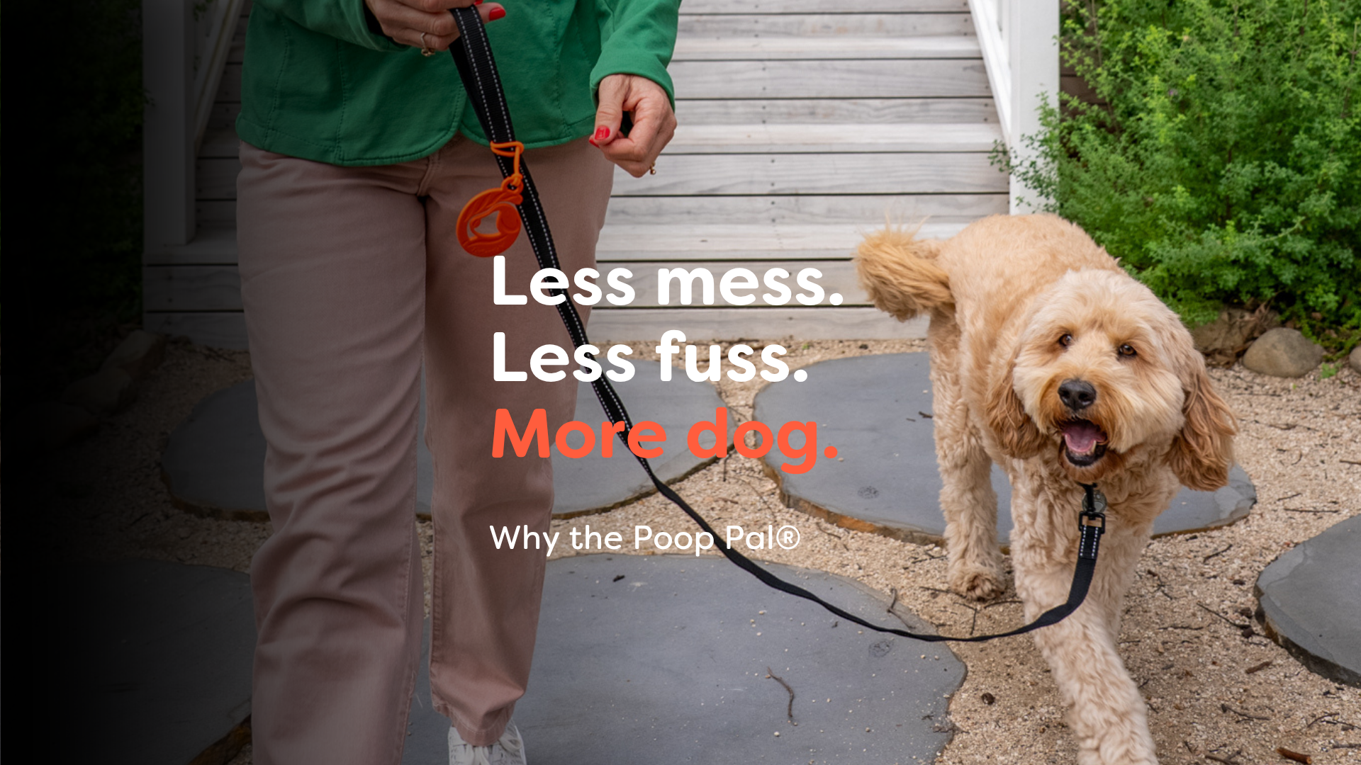 Load video: Dog walking accessory leash hack for a cleaner walk