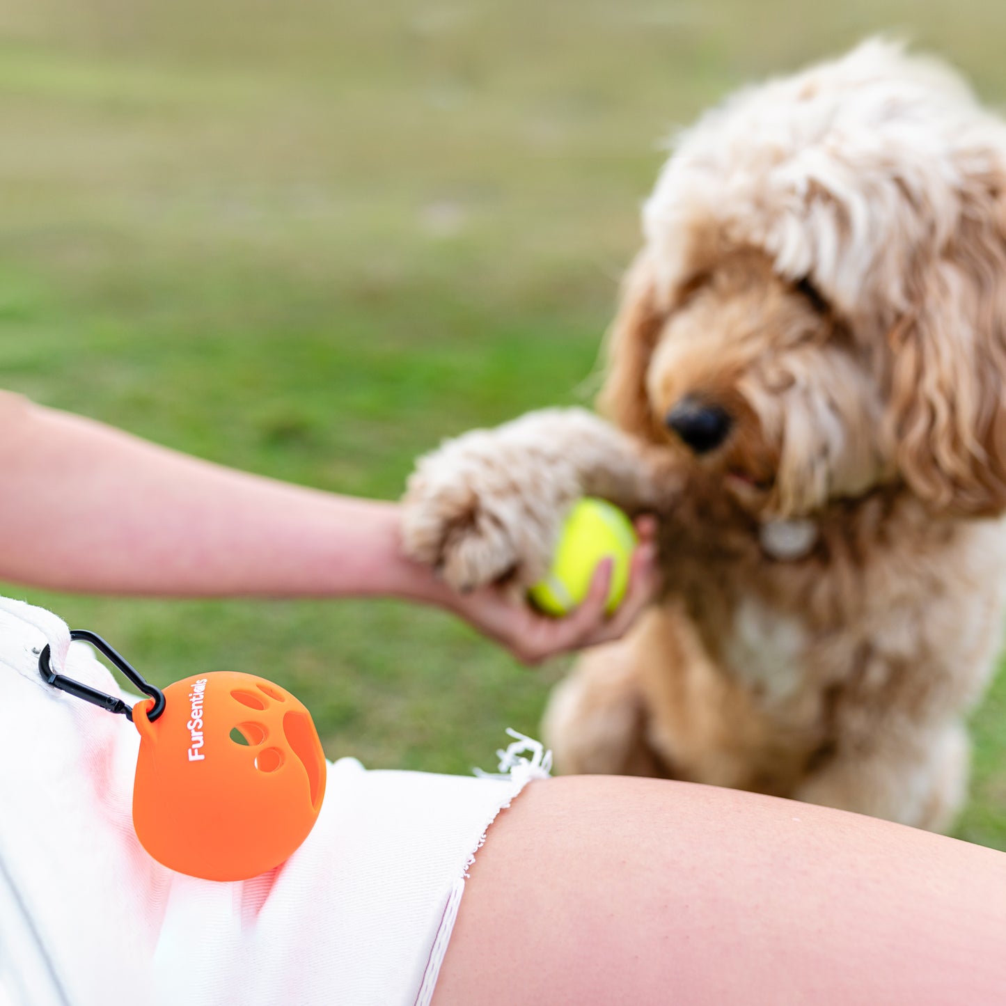 Squeaky Dog Ball + Buddy Holder = Ball Buddy