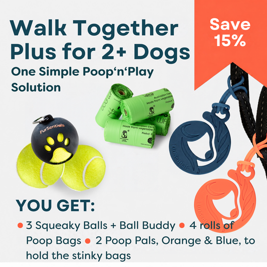 Walk Together Plus