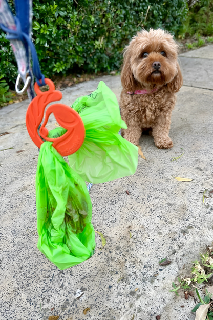 FurSentials Complete Walk Kit
