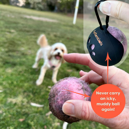 Ball Buddy Silicone Holder + 3 Squeaky Dog Balls