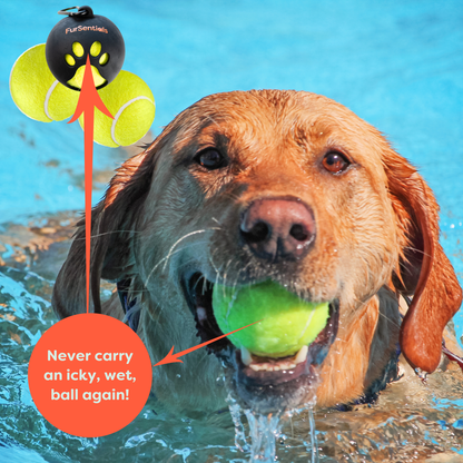 Ball Buddy Silicone Holder + 3 Squeaky Dog Balls