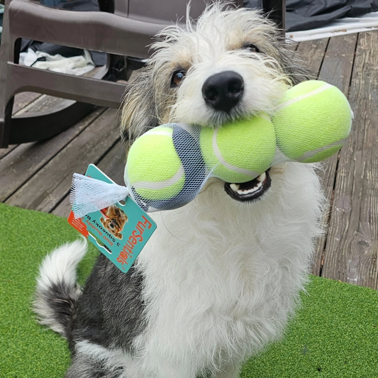 FurSentials Ball Buddy™ Trio -  Holder + 3 Squeaky Dog Balls
