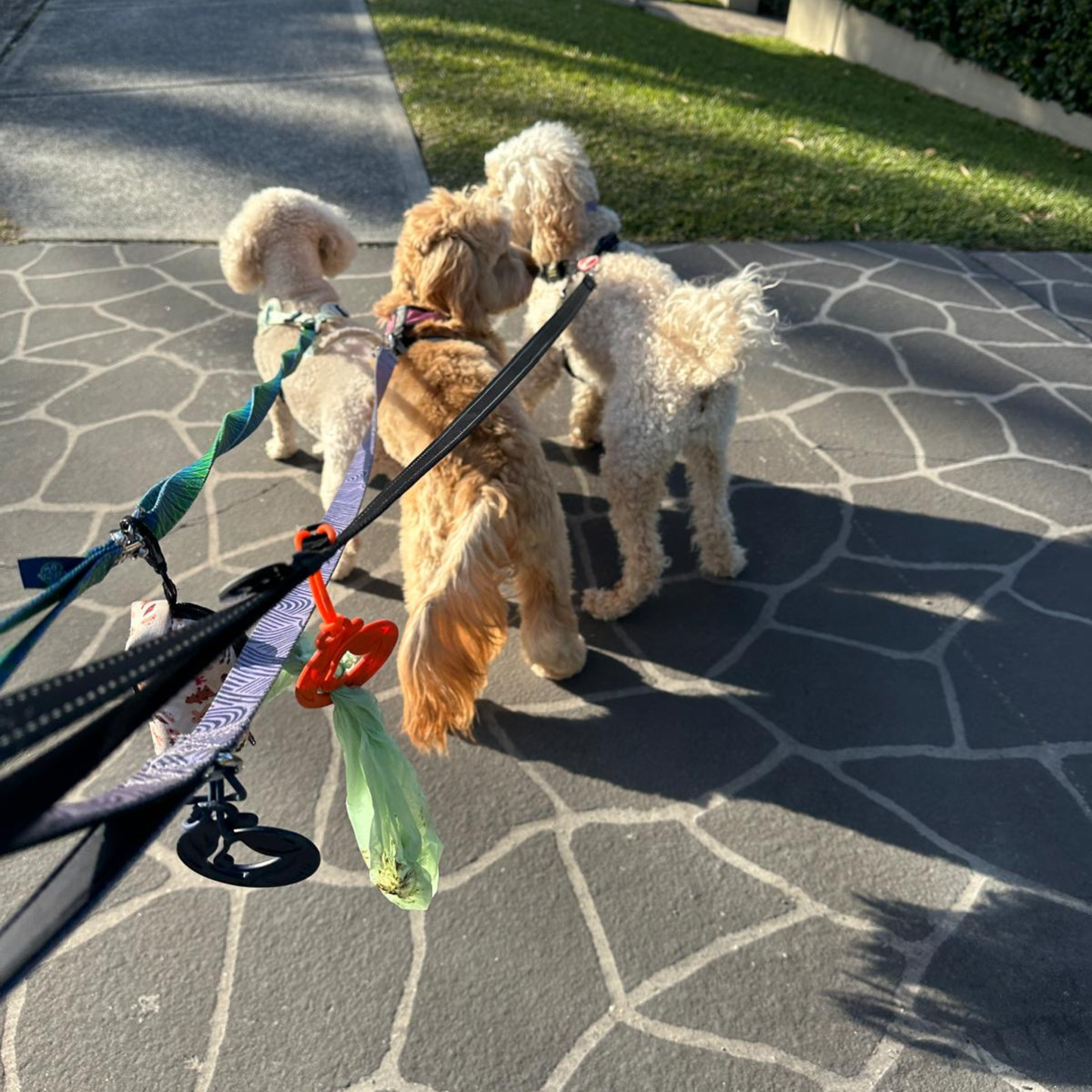 Walk Together