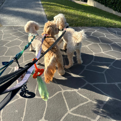 Walk Together