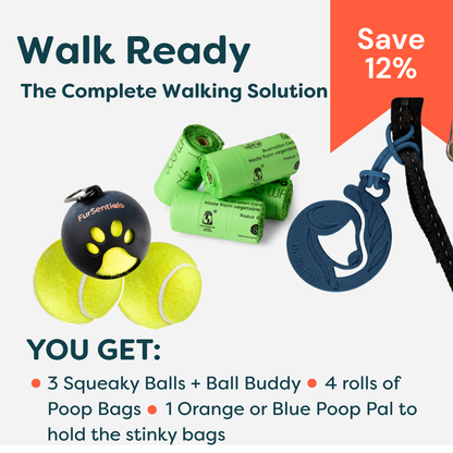 Walk Ready