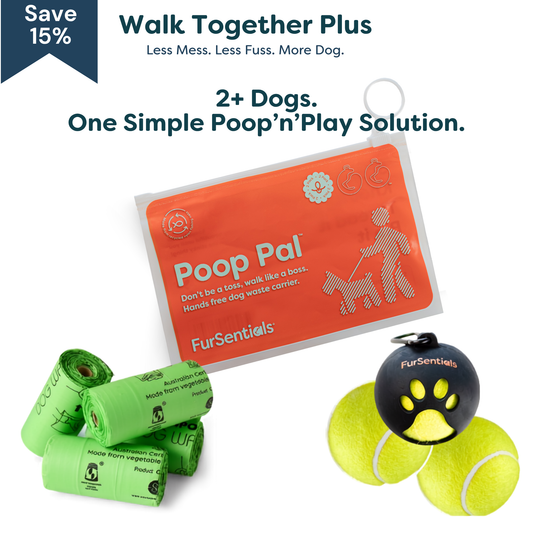 Walk Together Plus