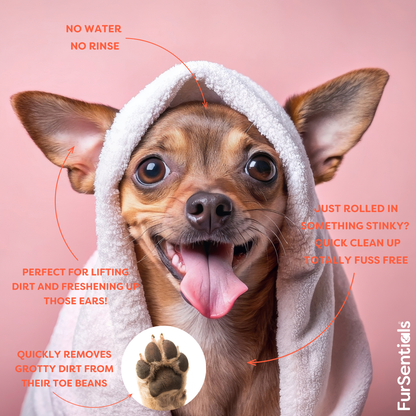 Waterless Shampoo Mousse