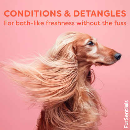 Waterless Shampoo Mousse