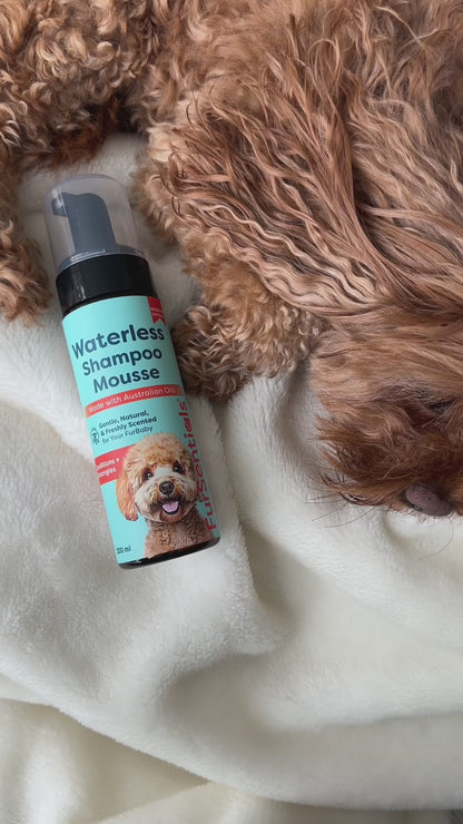 Waterless Shampoo Mousse